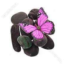 Hot pink butterfly on the stones isolated on white
