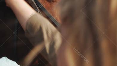 loves and cares, pets, real friendship