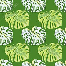 Monstera leaves seamless pattern. Exotic jungle plants endless wallpaper. Leaf background. Hawaiian rainforest floral backdrop