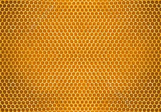 Bee honey in honeycomb pattern background