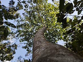 under a shady tree