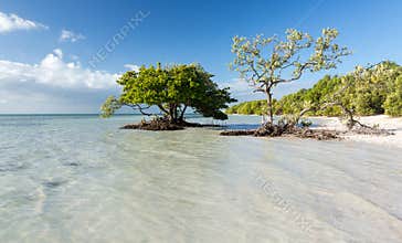 Florida Keys Anne's Beach