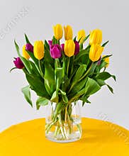 Tulips in vase Valentine day