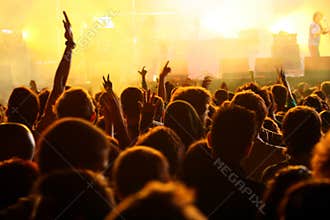 Hand in the air in a concert