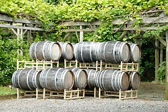 Wine Barrels