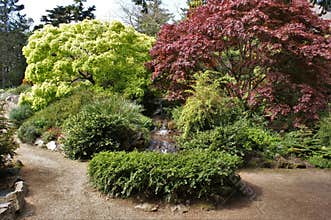 Landscape at the National Botanic Gardens, Dublin