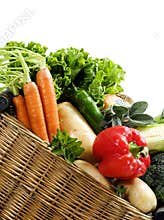 Basket Fresh Vegetables