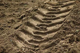 Tire Tracks
