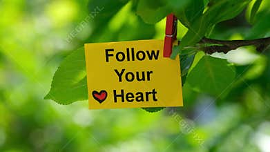 A yellow paper note with the phrase Follow Your Heart on it attached to a tree branch with a clothes pin