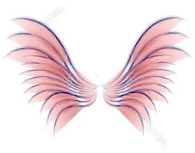 Angel Bird or Fairy Wings Pink