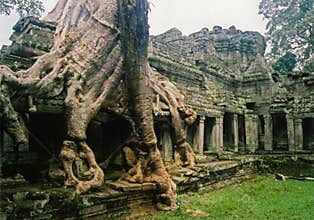 Jungle city angkor wat temple ruins Cambodia