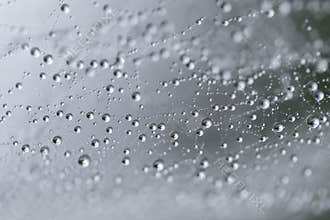 Dew drops on web threads - natural abstraction, backgrounds, textures.