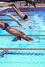Swimmers