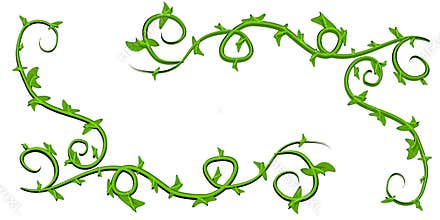 Green Leafy Vines Clip Art