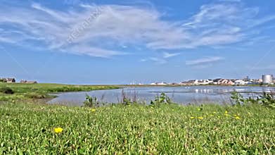 The View Across the Peedie Sea, Kirkwall