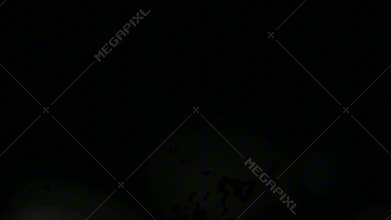 Colorful Organic Light Leaks & Bokeh Overlay. Video effect