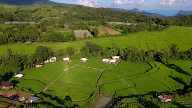 Terraced Rice Field in Chiangmai, Thailand