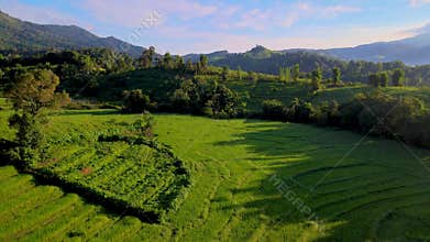 Terraced Rice Field in Chiangmai, Thailand