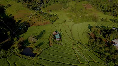 Terraced Rice Field in Chiangmai, Thailand