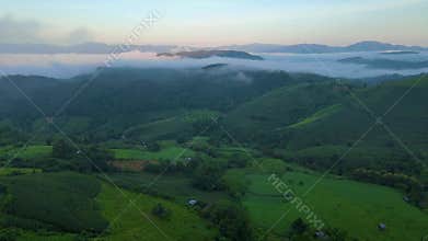 Terraced Rice Field in Chiangmai, Thailand