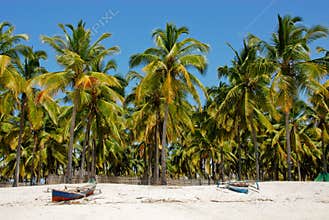 Pangane Beach, Mozambique