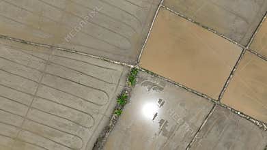 Wet plowed paddy field ready to be cultivate. Farmer plough and levelling soil also helps water distribution in paddy