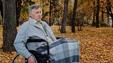 Pensive caucasian male mature man grandfather ride by wheelchair in autumn park sad serious senior older age person