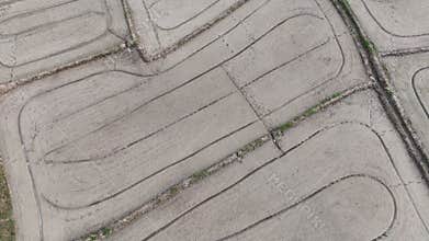 Wet plowed paddy field ready to be cultivate. Farmer plough and levelling soil also helps water distribution in paddy