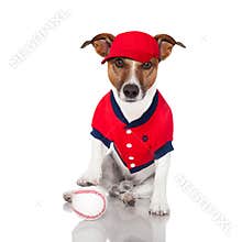 Baseball dog