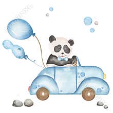 Cute little panda driving a car clipart, blue transport with animal and balloons, watercolor illustration for nursery and baby
