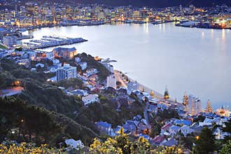New Zealand Wellington Twilight Over CBD