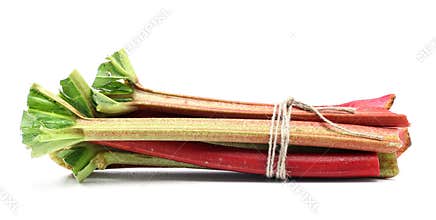 Rhubarb