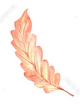 Bright, colorful autumn leaf. Watercolor fall illustration