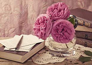 Pink roses