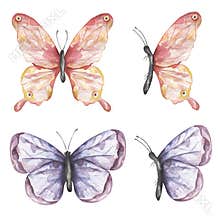 Delicate pink and violet butterfly Clipart Set, Watercolor Insects illustration, Butterflies clip art, Wedding Invitation, Logo