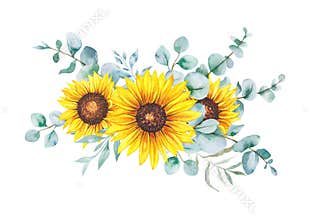 Watercolor sunflowers bouquet, hand painted sunflower bouquets, sunfower flower arrangement. Wedding invitation clipart elements.