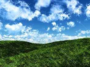 Peaceful hills