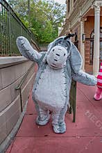 Eeeyore character at Disney Magic Kingdom