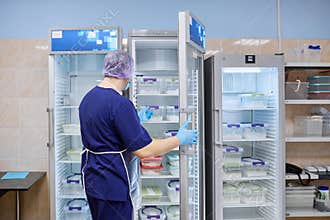 The scientist takes samples of materials for experiments out of the refrigerator