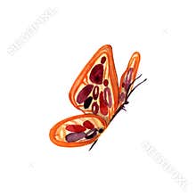Flying butterfly watercolor illustration element on white background