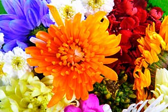 Flowers mix