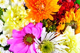 Flowers mix