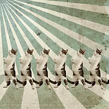 Dancing cats retro poster