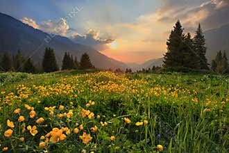 Evening in mountains