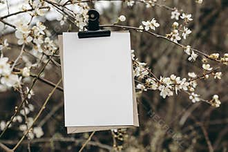 Spring wedding stationery mockup. Blank greeting, birthday invitation card with black metal bulldog clip. White blooming