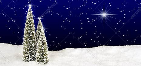 Christmas Trees Star Sky