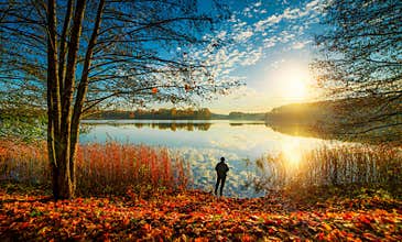 Forest lake and beautiful scenic fall nature
