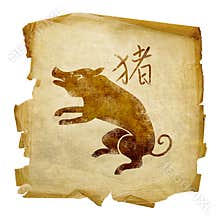 Pig Zodiac icon
