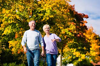 Seniors in autumn or fall walking hand in hand