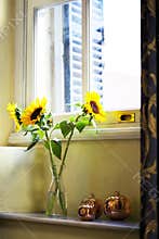 Sunflowers